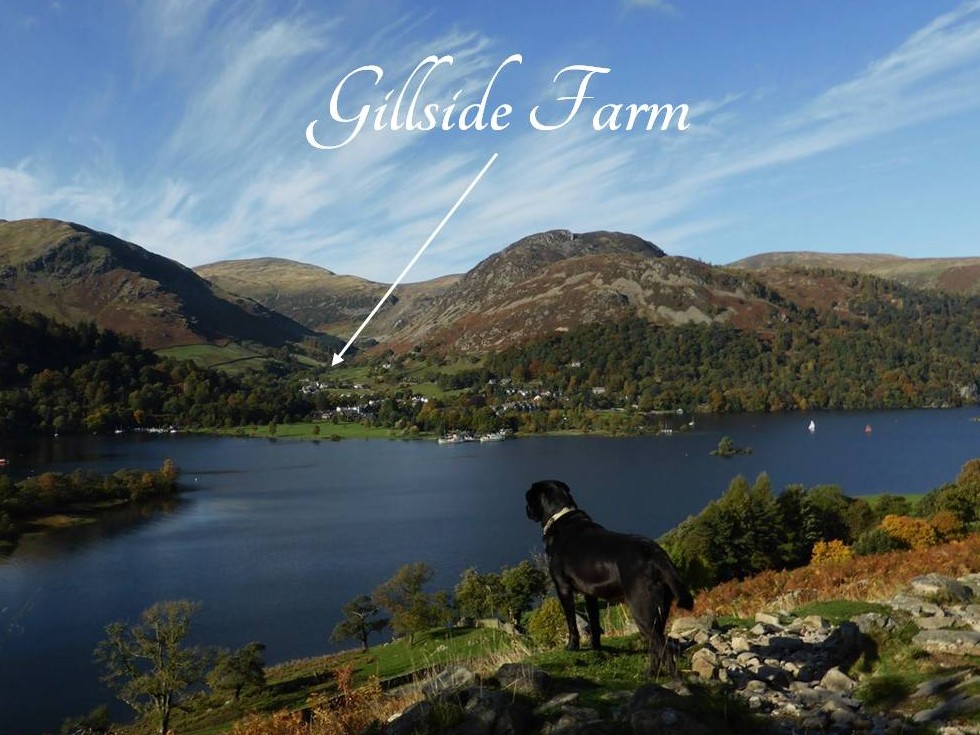 Gillside Farm Glenridding by Ullswater